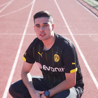 Liga Alemana